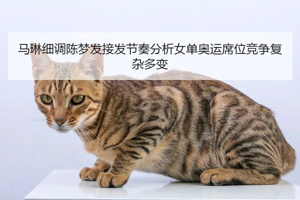 马琳细调陈梦发接发节奏分析女单奥运席位竞争复杂多变