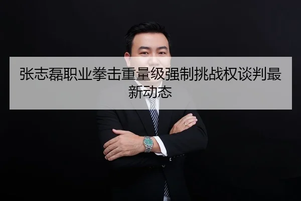 张志磊职业拳击重量级强制挑战权谈判最新动态