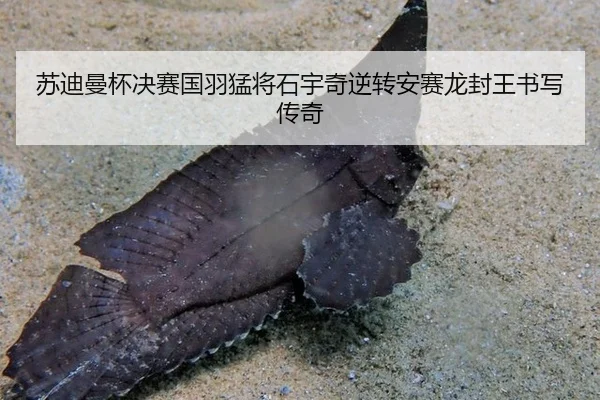 su-di-man-bei-jue-sai-guo-yu-meng-jiang-shi-yu-qi-ni-zhuan-an-sai-long-feng-wang-shu-xie-chuan-qi-2-347.jpg